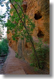 america, angels landing trail, canyons, nature, north america, paths, rocks, slot canyon, trees, united states, utah, vertical, walls, western usa, zion, photograph