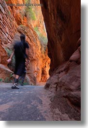 america, angels landing trail, canyons, hikers, nature, north america, paths, rocks, slot canyon, slow exposure, trees, united states, utah, vertical, walls, western usa, zion, photograph