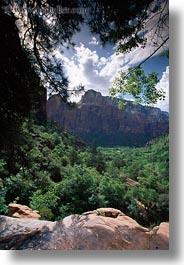 america, landscapes, mountains, north america, trees, united states, utah, vertical, western usa, zion, photograph