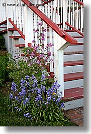 flowers, orcas island, red, stairs, washington, united states, photograph