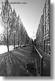 america, black and white, buildings, fremont, north america, pacific northwest, seattle, shadows, trees, united states, vertical, washington, western usa, photograph
