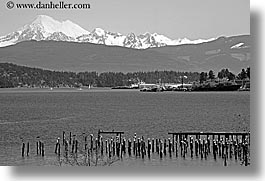 america, black and white, horizontal, mountains, mt baker, nature, north america, ocean, pacific northwest, seattle, snowcaps, united states, views, washington, water, western usa, photograph
