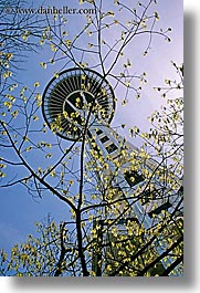 america, branches, buildings, nature, north america, pacific northwest, perspective, plants, seattle, space needle, structures, towers, trees, united states, upview, vertical, washington, western usa, photograph