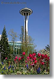 america, buildings, north america, pacific northwest, seattle, space needle, structures, towers, tulips, united states, vertical, washington, western usa, photograph