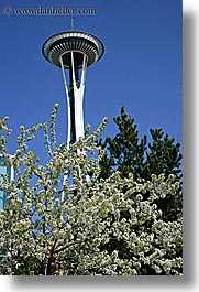 america, branches, buildings, flowers, nature, north america, pacific northwest, plants, seattle, space needle, structures, towers, trees, united states, vertical, washington, western usa, white, photograph