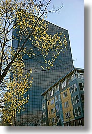 america, branches, buildings, modern, nature, north america, pacific northwest, plants, reflections, seattle, skyscrapers, structures, style, trees, united states, vertical, washington, western usa, photograph