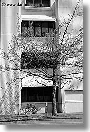 america, black and white, buildings, nature, north america, pacific northwest, plants, seattle, trees, united states, vertical, washington, western usa, photograph