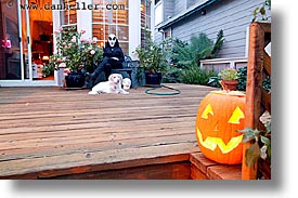 dogs, goul, halloween, homes, horizontal, long exposure, personal, pumpkins, photograph