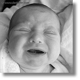 babies, baby face, black and white, boys, cry, infant, jacks, square format, photograph