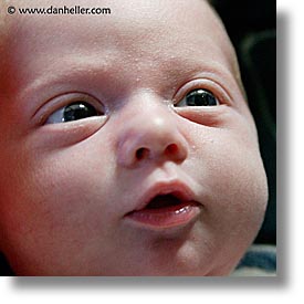 babies, baby face, boys, faces, infant, jacks, square format, photograph