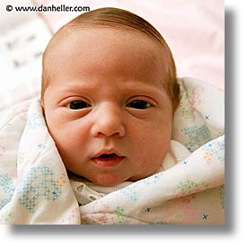 babies, baby face, boys, infant, jacks, parts, side, square format, photograph