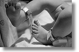 babies, birth, boys, feet, horizontal, infant, jacks, nd hour, photograph
