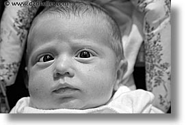 babies, black and white, boys, crosses, eyes, faces, horizontal, infant, jacks, photograph