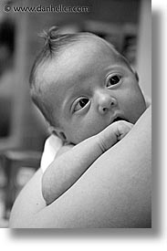 babies, black and white, boys, faces, infant, jacks, mohawk, vertical, photograph