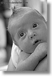 babies, black and white, boys, faces, infant, jacks, mohawk, vertical, photograph