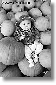 babies, black and white, boys, halloween, infant, jacks, pumpkins, vertical, photograph