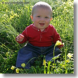babies, boys, grass, infant, jacks, jan feb, square format, photograph
