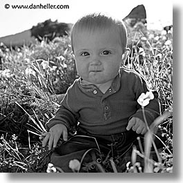 babies, black and white, boys, grass, infant, jacks, jan feb, square format, photograph