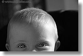 babies, black and white, boys, eyes, horizontal, infant, jacks, jan feb, photograph