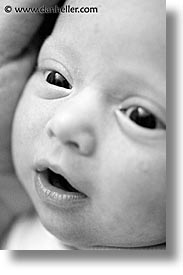 babies, black and white, boys, close, faces, infant, jacks, macro, vertical, photograph