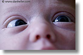 babies, boys, eyes, horizontal, infant, jacks, macro, photograph