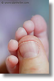 babies, boys, infant, jacks, macro, thumbs, toes, vertical, photograph