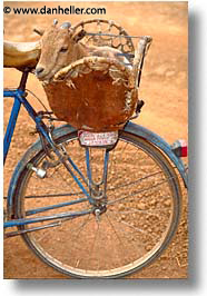 africa, bicycles, burkina faso, goats, vertical, photograph