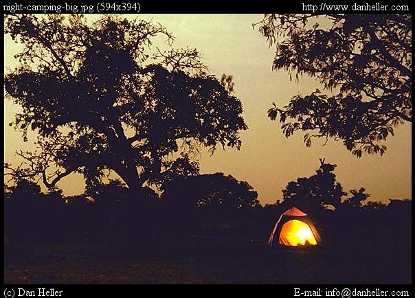 night-camping.jpg