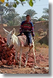 africa, al kab, boys, donkeys, egypt, vertical, villages, photograph