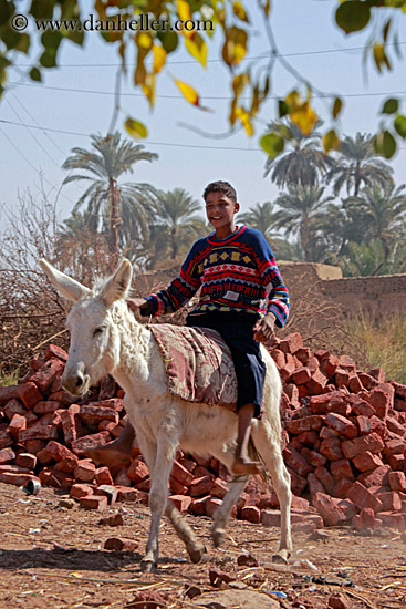 donkey-w-boy-04.jpg