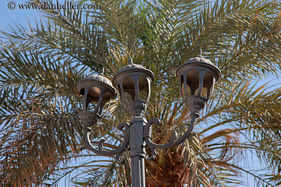 street-lamp-n-palm_tree.jpg
