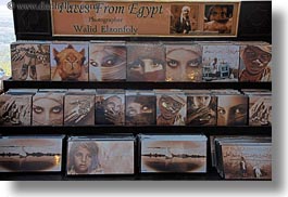 africa, aswan, egypt, elzonfoly, horizontal, walid, photograph