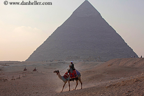 camel-n-pyramids-02.jpg