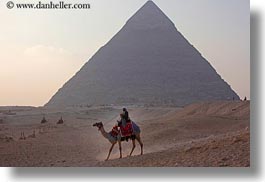 africa, cairo, camels, desert, egypt, horizontal, pyramids, structures, photograph