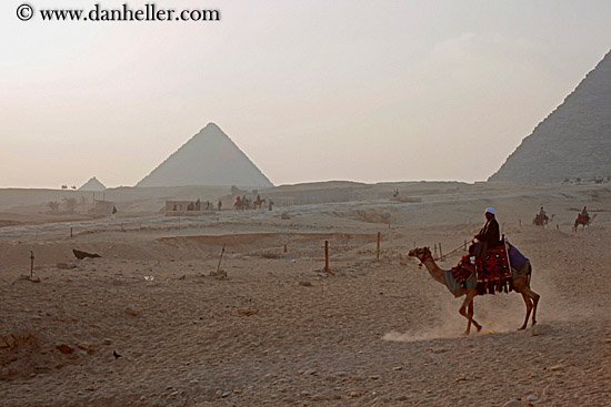 camel-n-pyramids-03.jpg