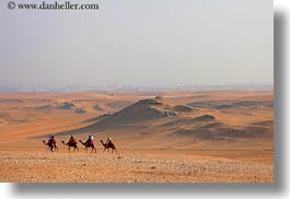 africa, cairo, camels, desert, egypt, horizontal, photograph
