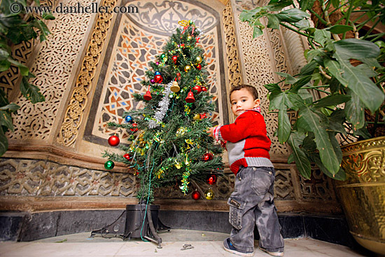 baby-n-xmas-tree-01.jpg