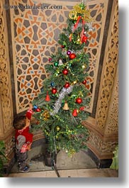 africa, babies, cairo, christmas, coptic, egypt, trees, vertical, photograph