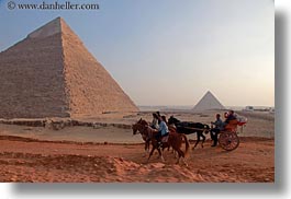 africa, cairo, carriage, egypt, horizontal, horses, pyramids, photograph