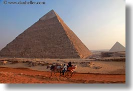africa, cairo, carriage, egypt, horizontal, horses, pyramids, photograph
