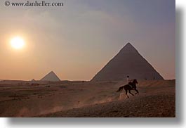 africa, cairo, egypt, horizontal, horses, pyramids, photograph