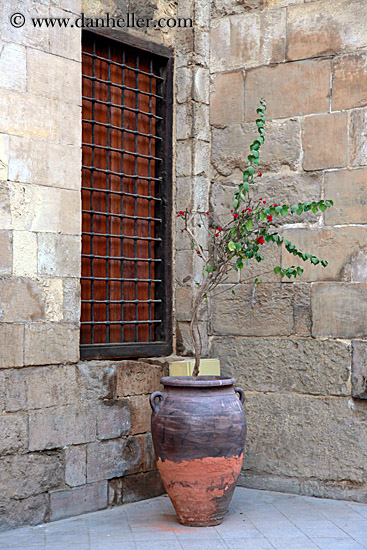 potted-plant-03.jpg