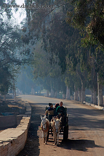 children-on-horse-carriage.jpg