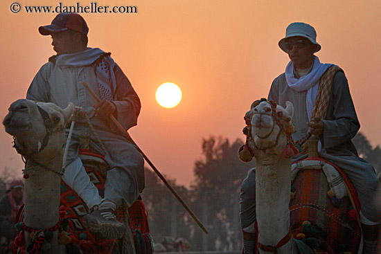 men-on-camels-n-sun-01.jpg