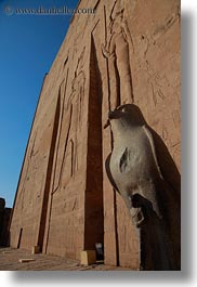 africa, birds, edfu, egypt, statues, vertical, photograph