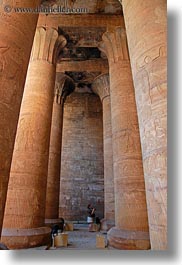 africa, edfu, egypt, people, pillars, vertical, photograph