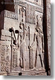 africa, egypt, egyptian, gods, kom ombo temple, vertical, photograph