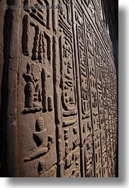 africa, egypt, hyroglyphics, kom ombo temple, vertical, photograph