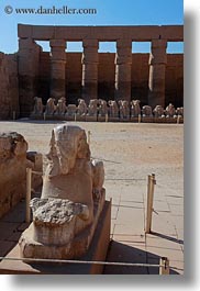 africa, egypt, karnak temple, luxor, marble, sphinx, vertical, photograph
