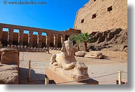 africa, egypt, horizontal, karnak temple, luxor, marble, sphinx, photograph